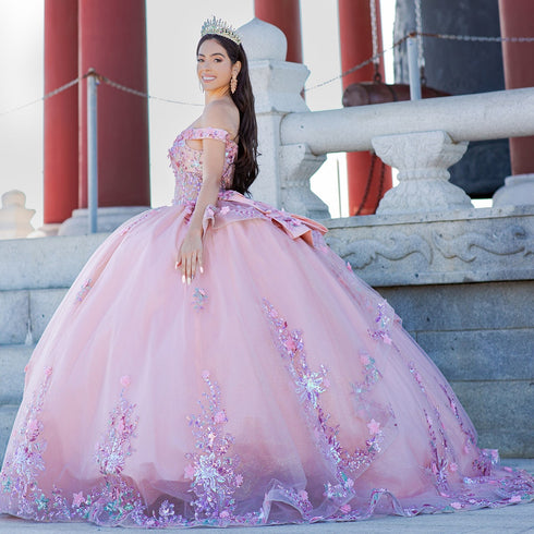 Enchanting Floral Details Quinceañera Ball Gown for Women, Sizes 4/XS-16/3X